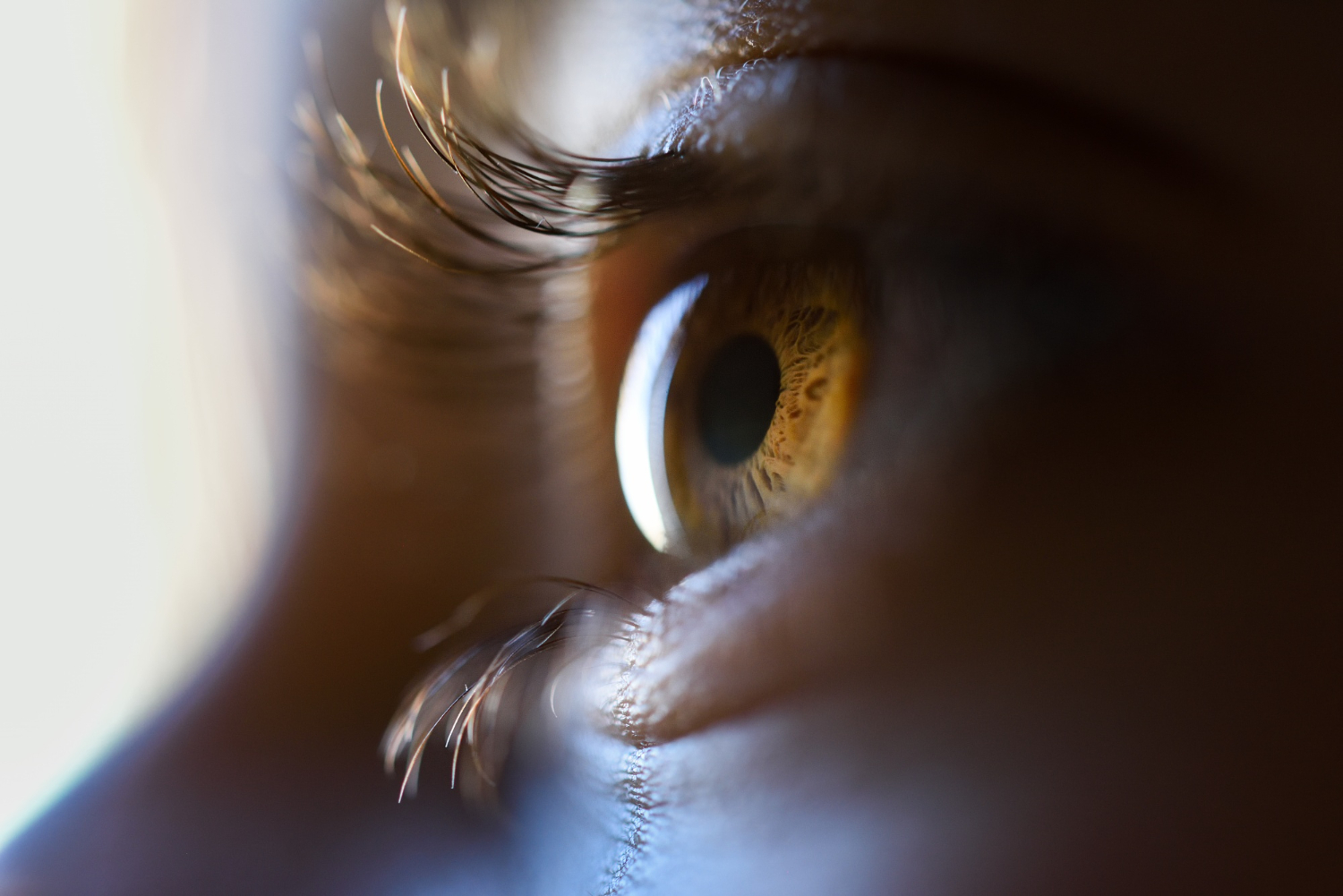 12 Ways Your Eyes Are Lying to You Right Now