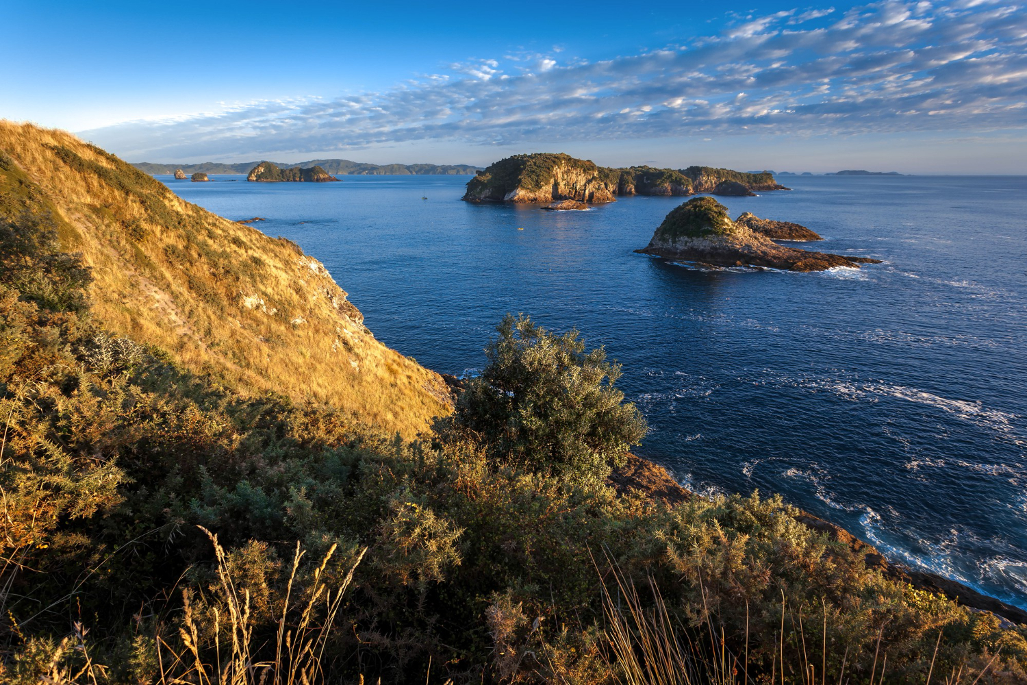 New Zealand coastline