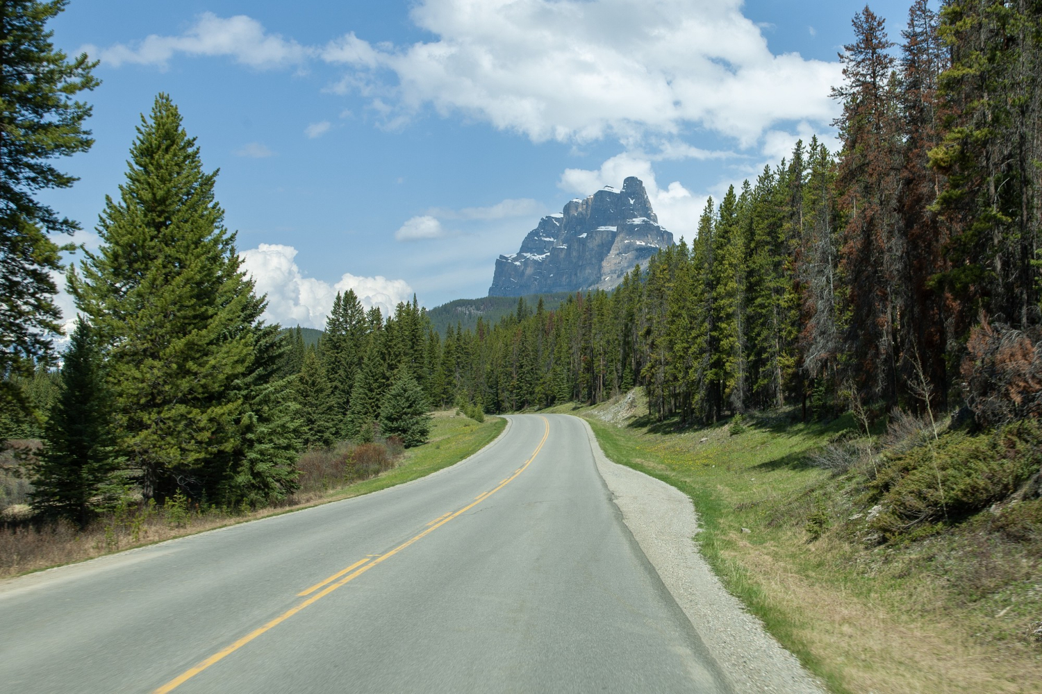 mountain pass road