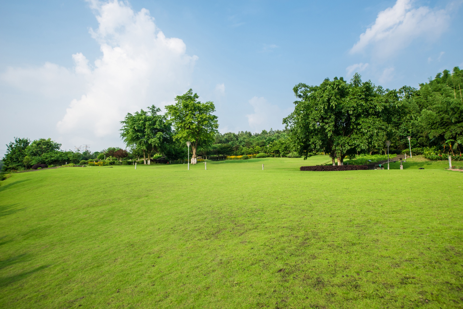 Land