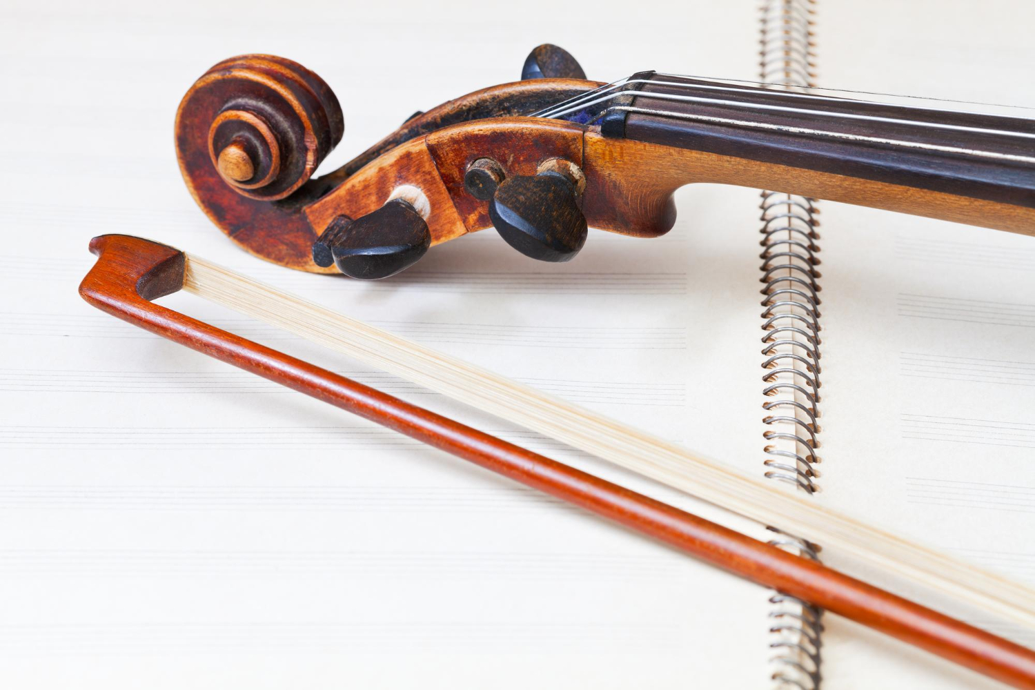violin