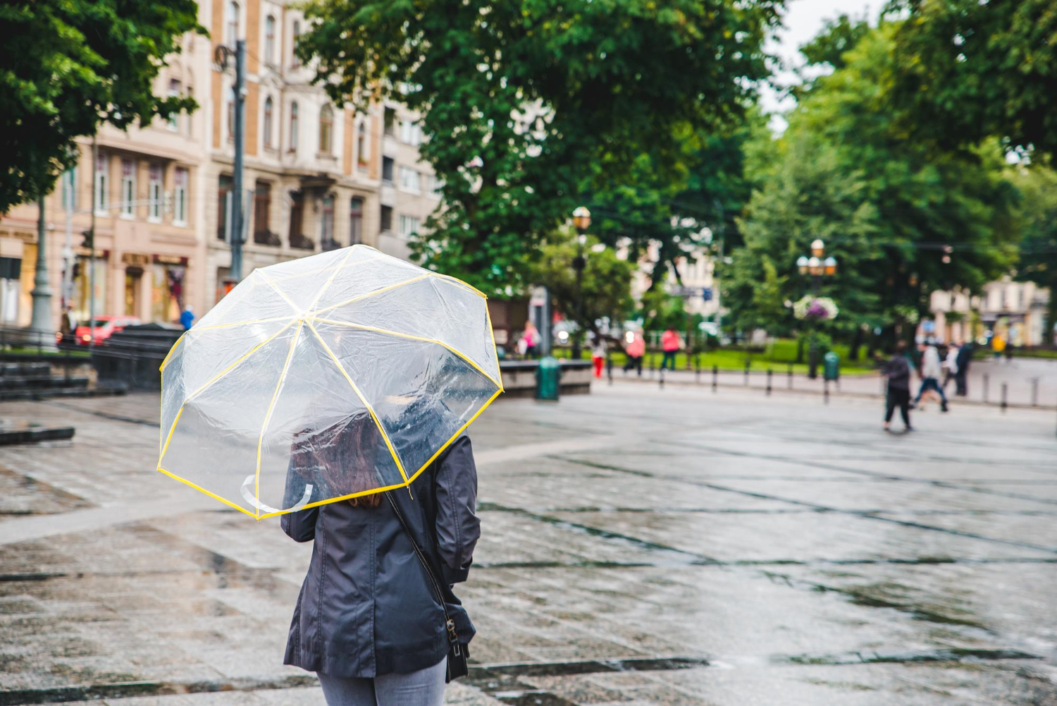 rainy street city umbrella