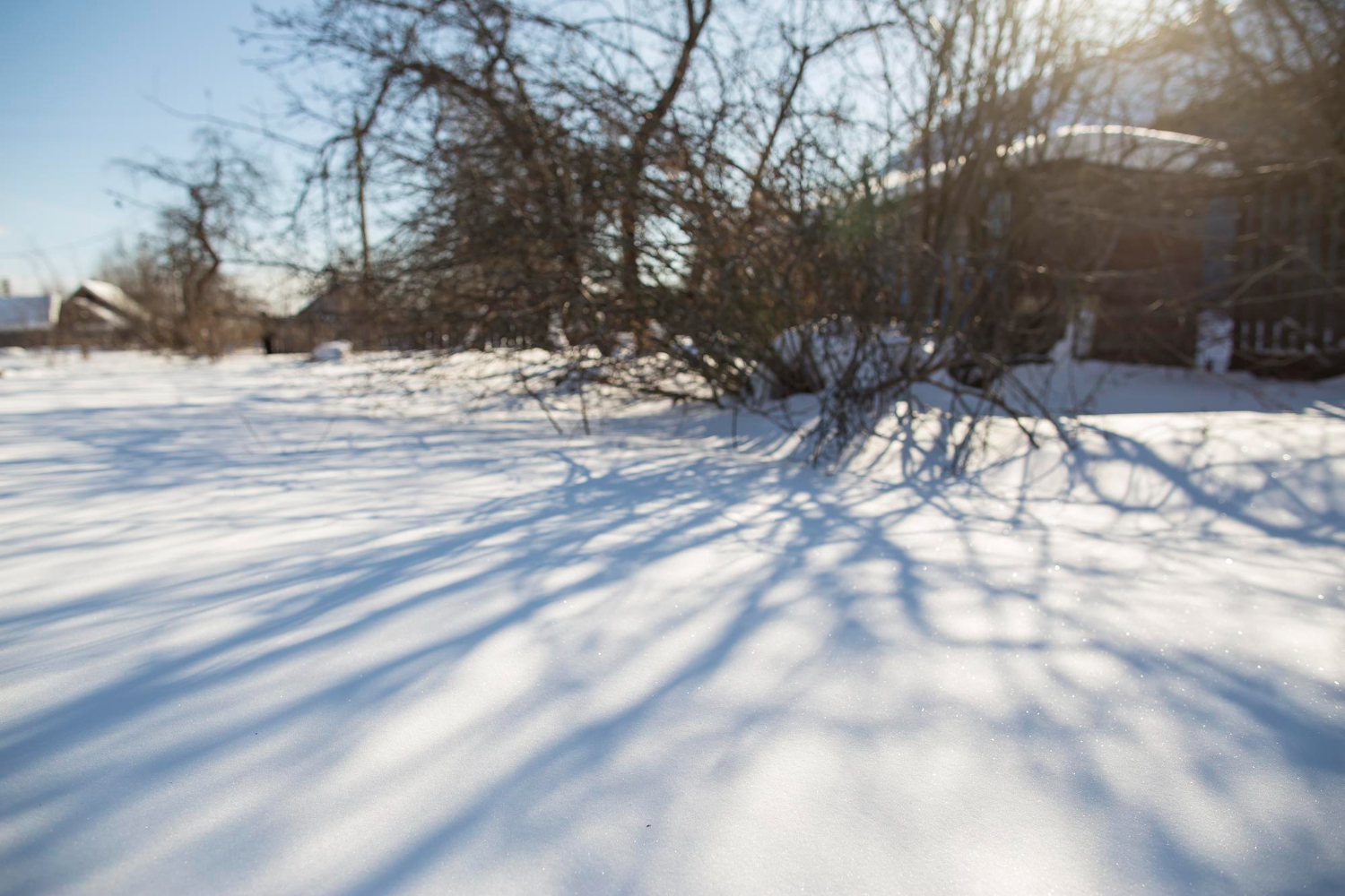 shadow sunlight