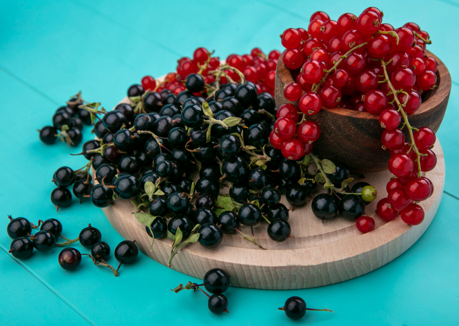 Currant
