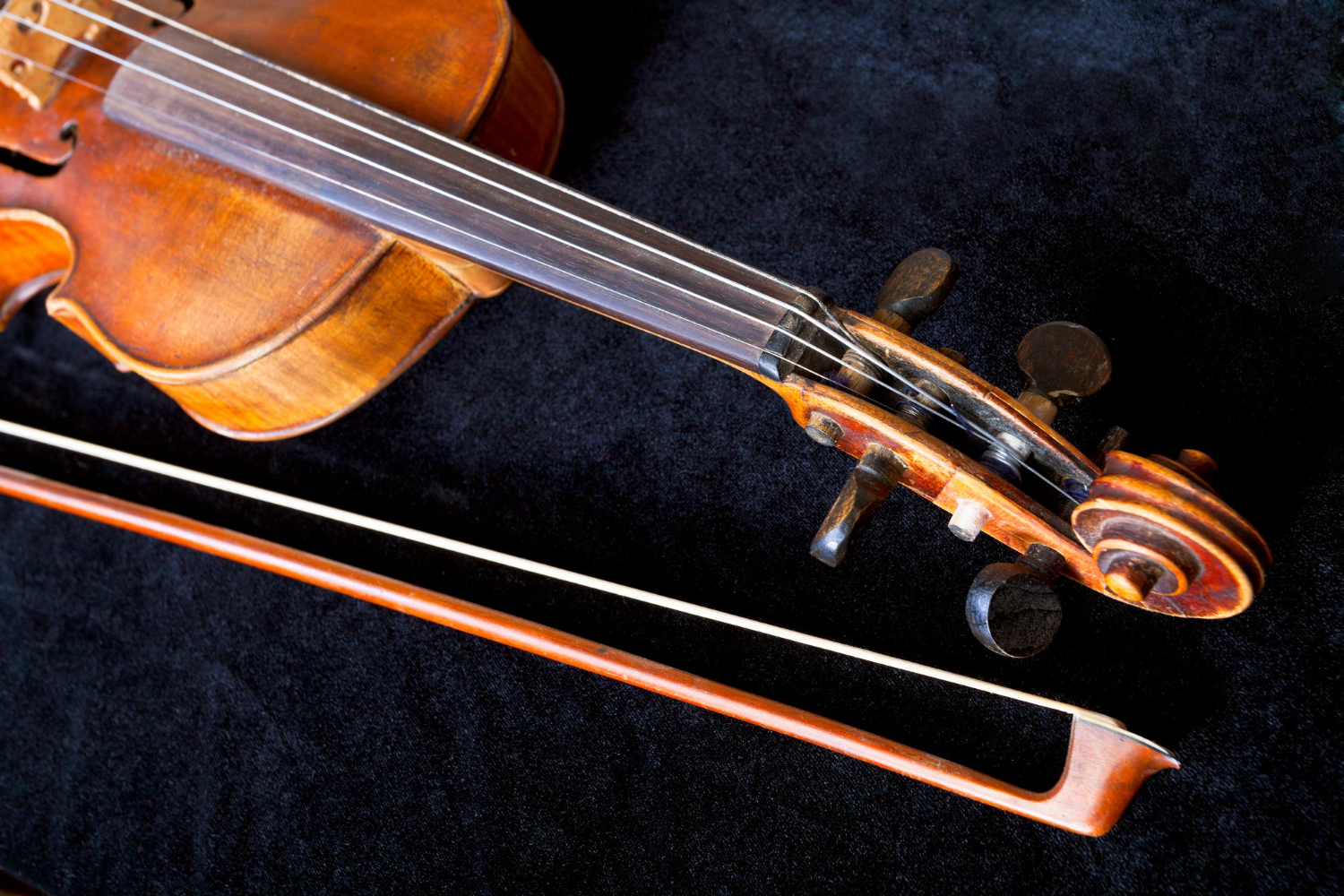 violin
