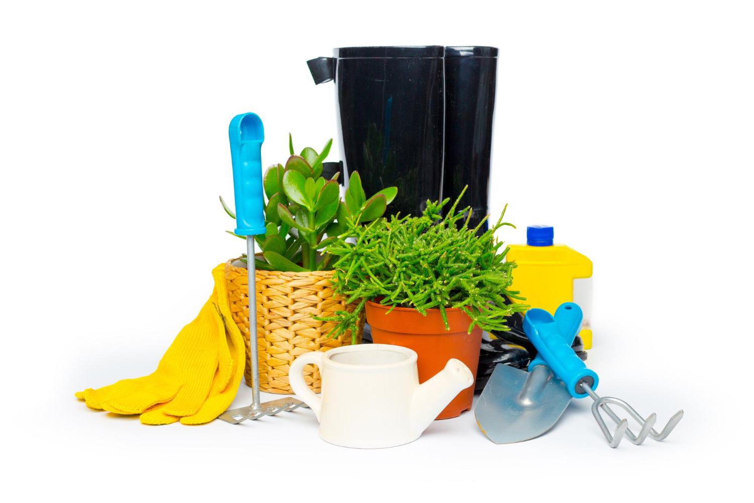 everyday objects household