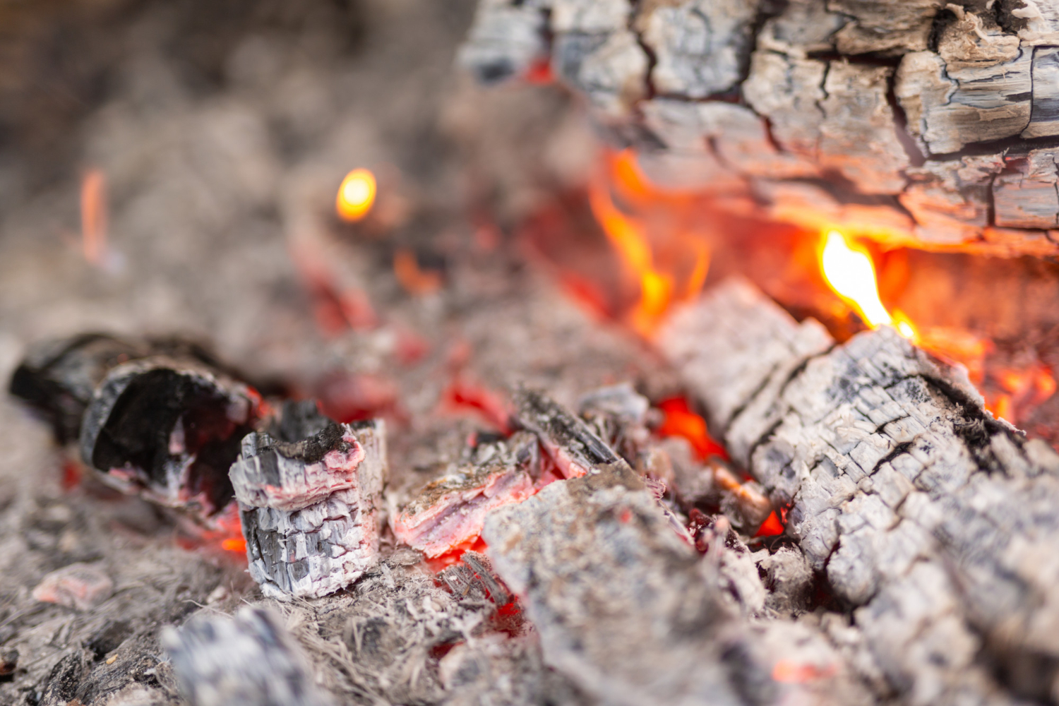 Grill Cooking