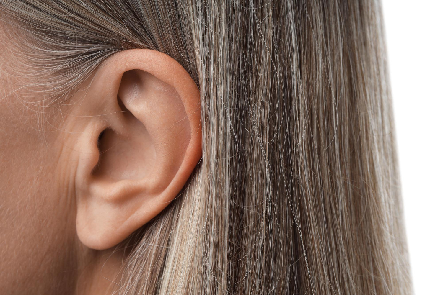 human ear