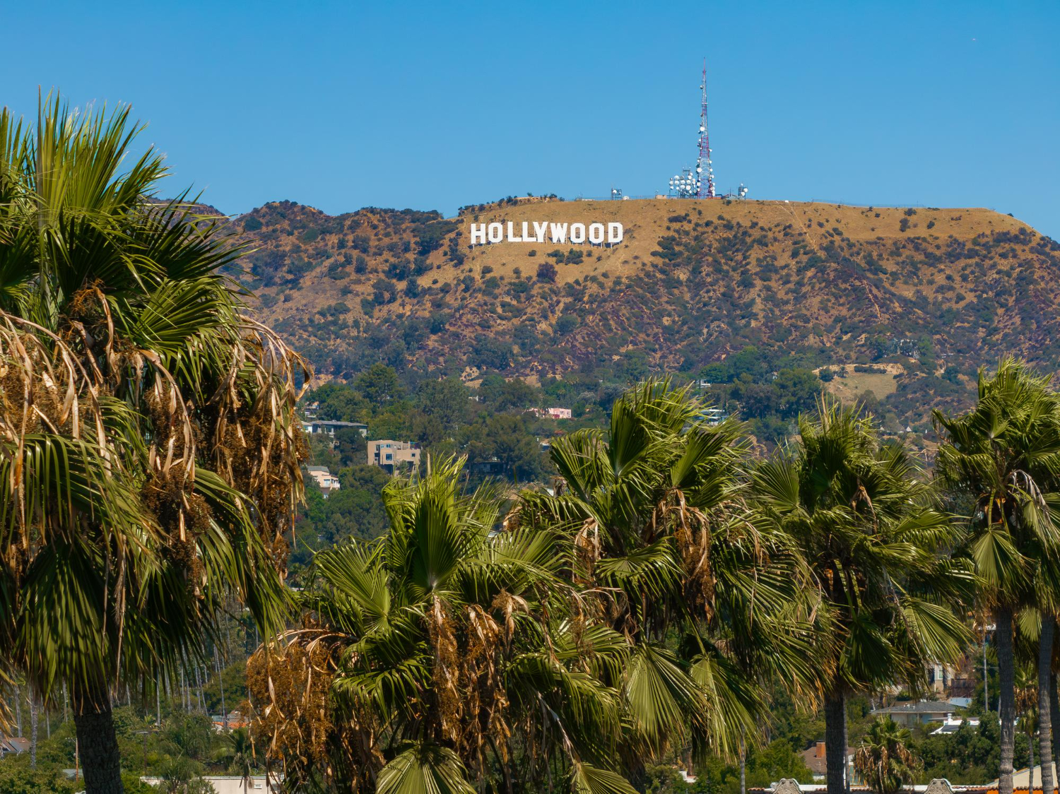Hollywood Sign Mount Lee