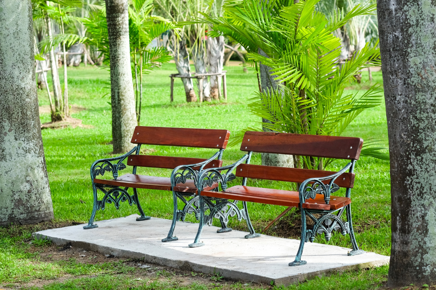 Bench