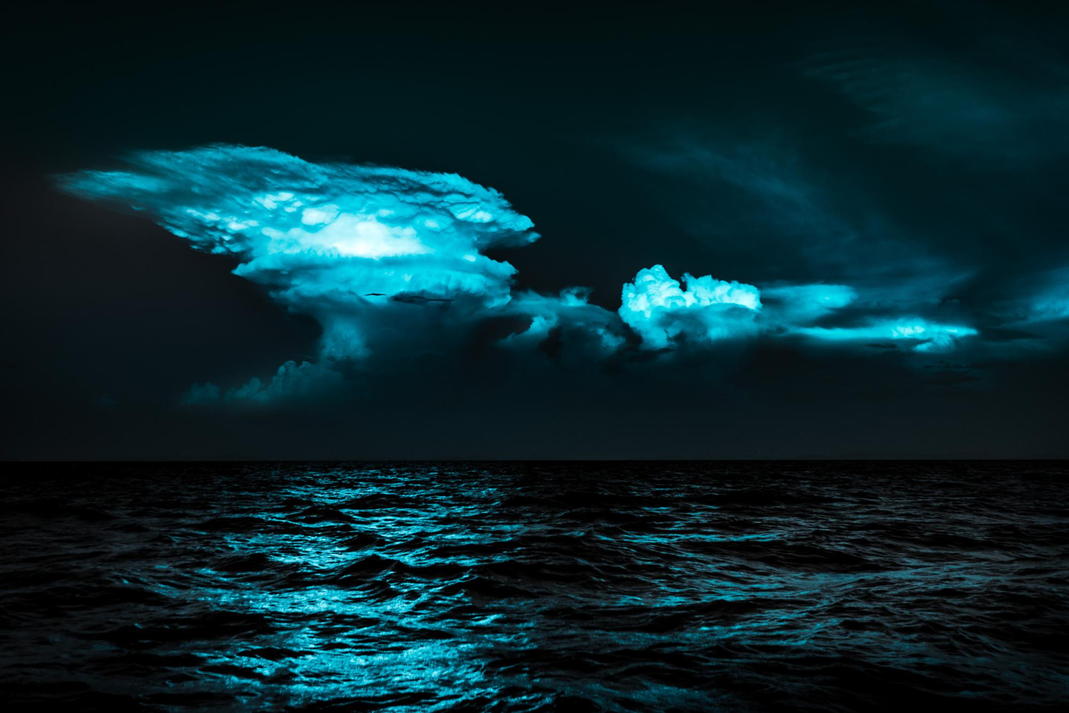 bioluminescent water