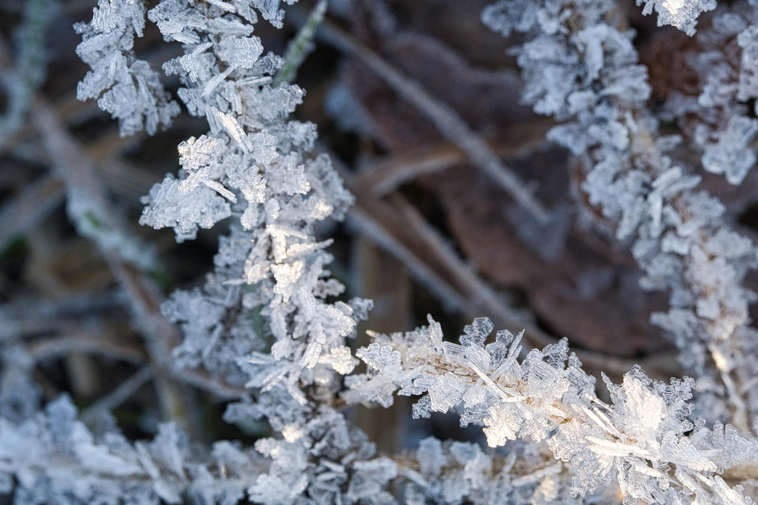 ice crystals