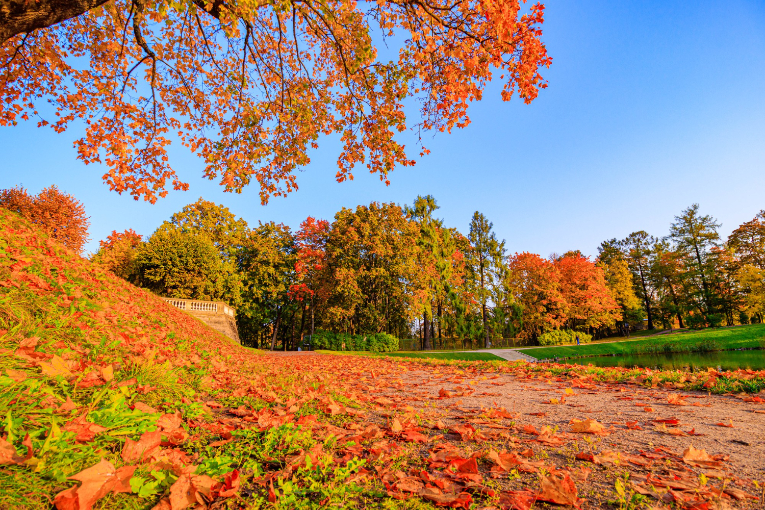 Autumn Season