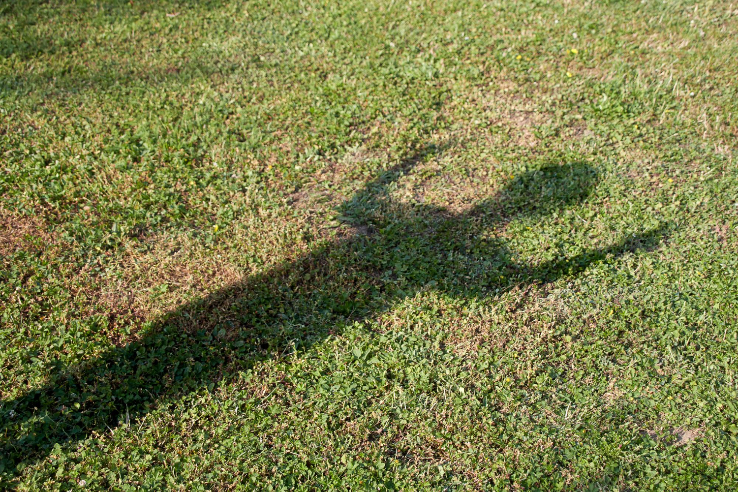 shadow sunlight