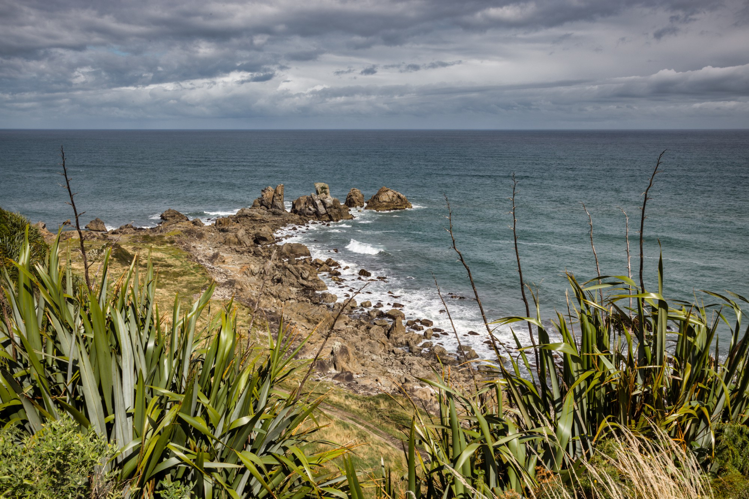 New Zealand coastline