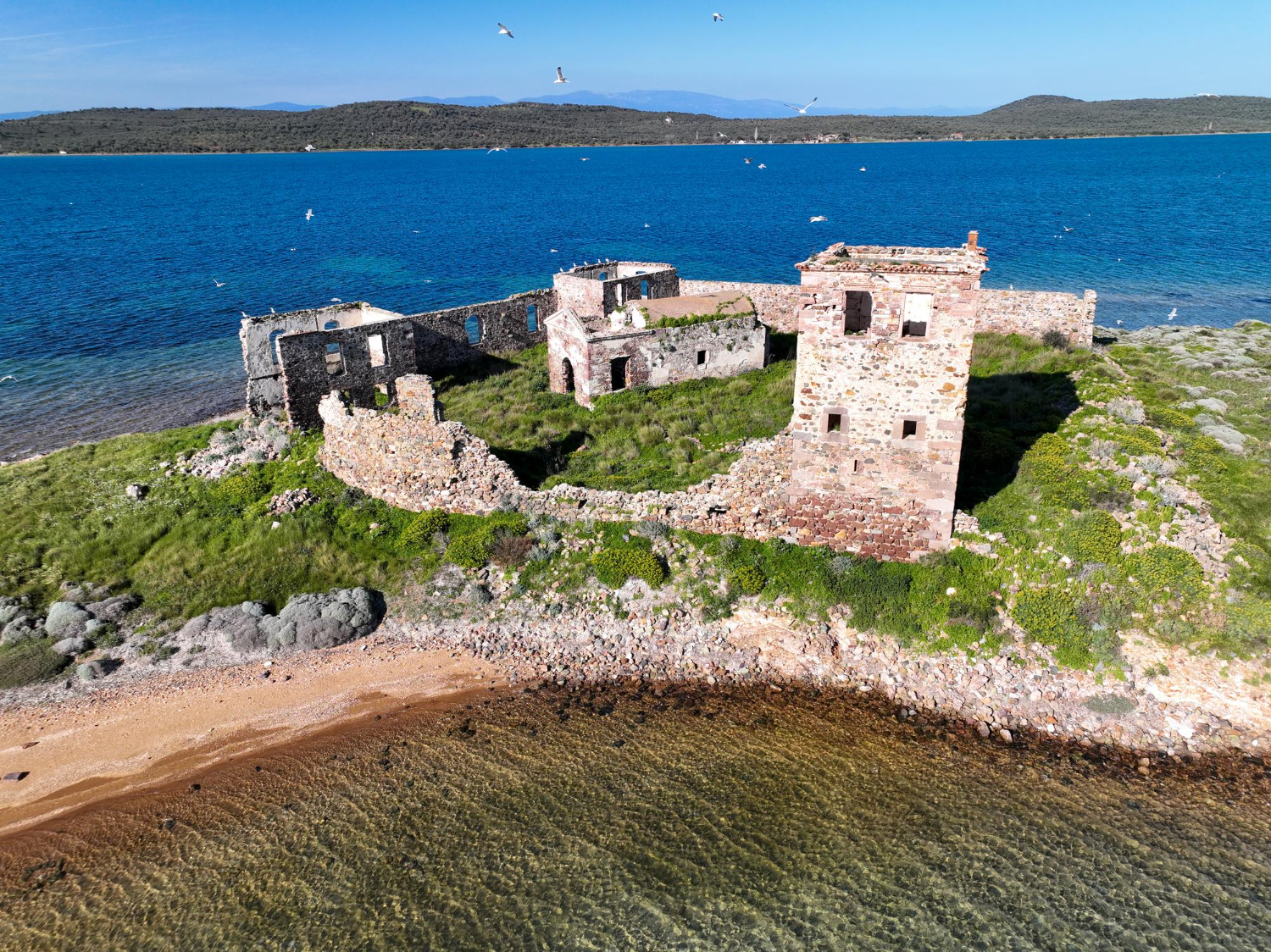 island