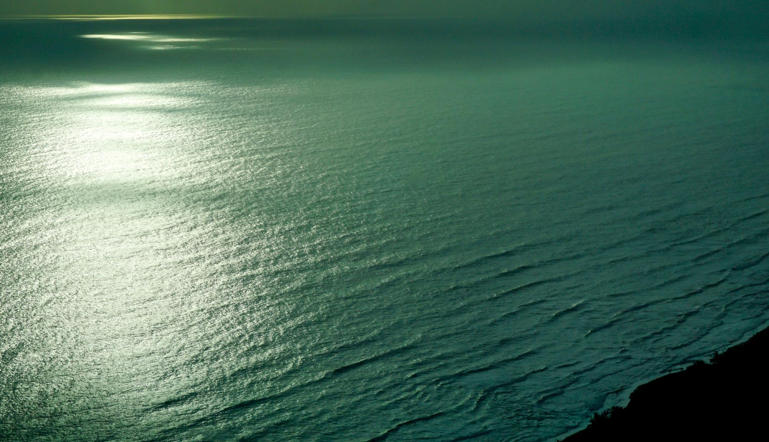 bioluminescent water