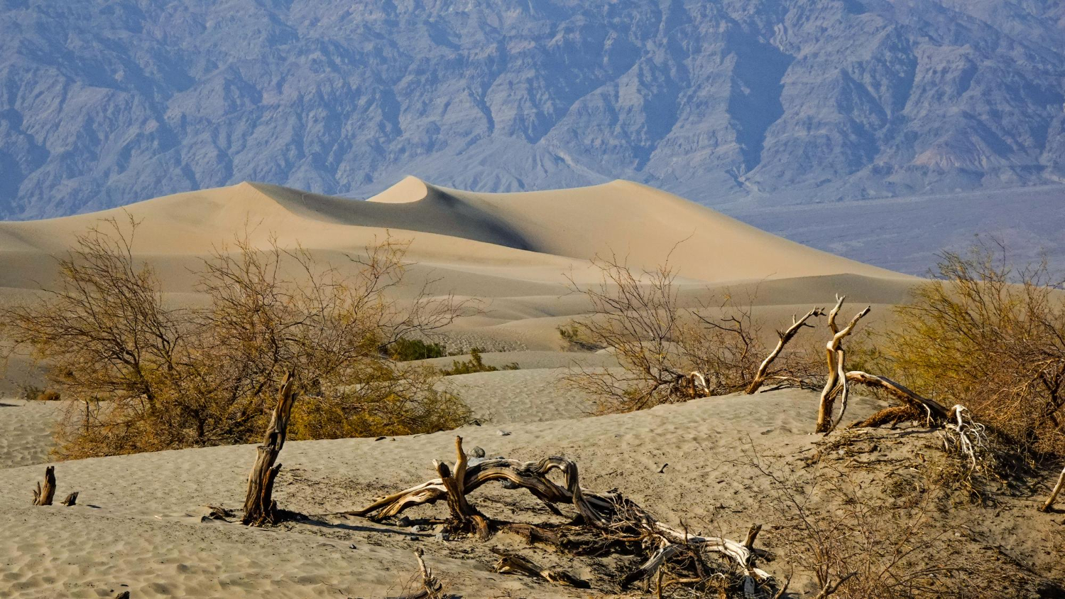 Death Valley