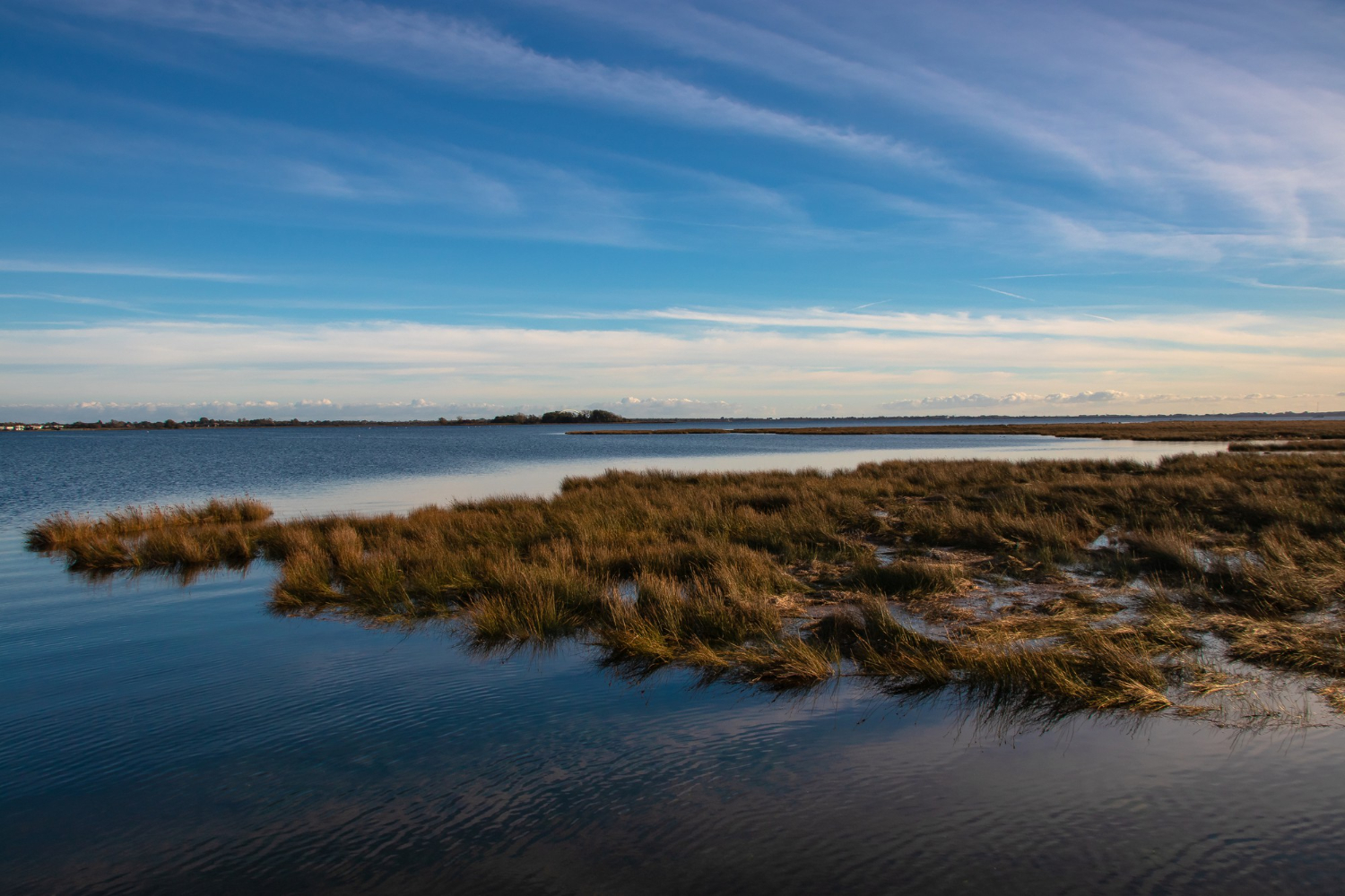 wetland