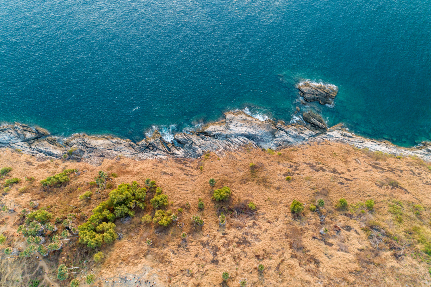 Rocky coastline
