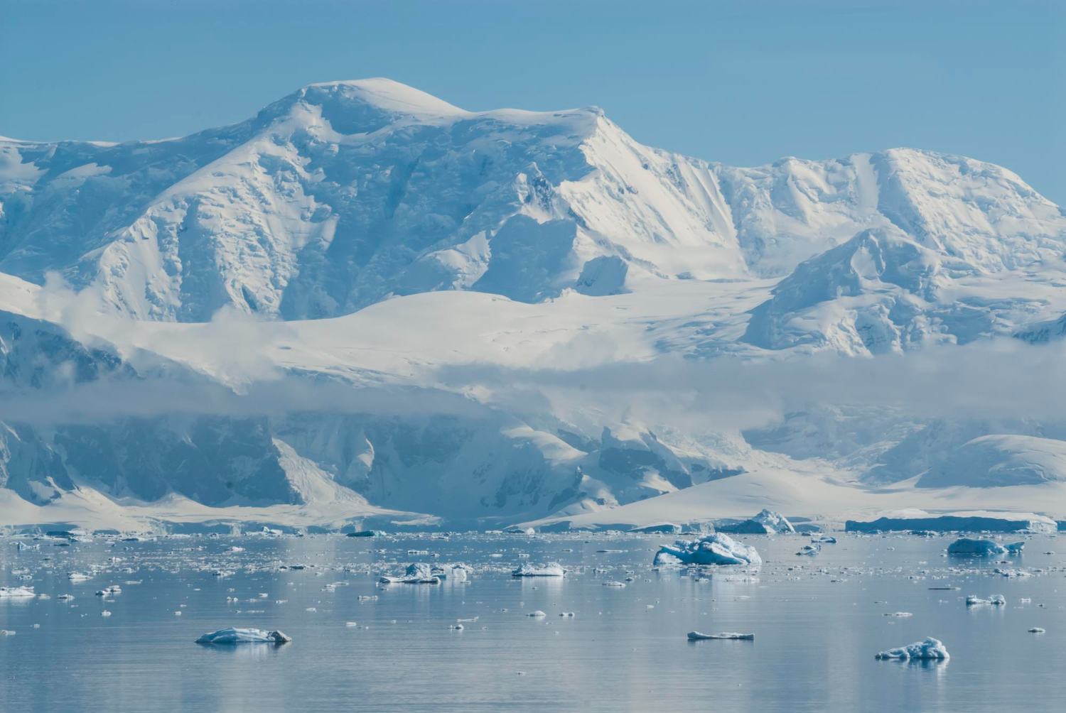 Antarctic