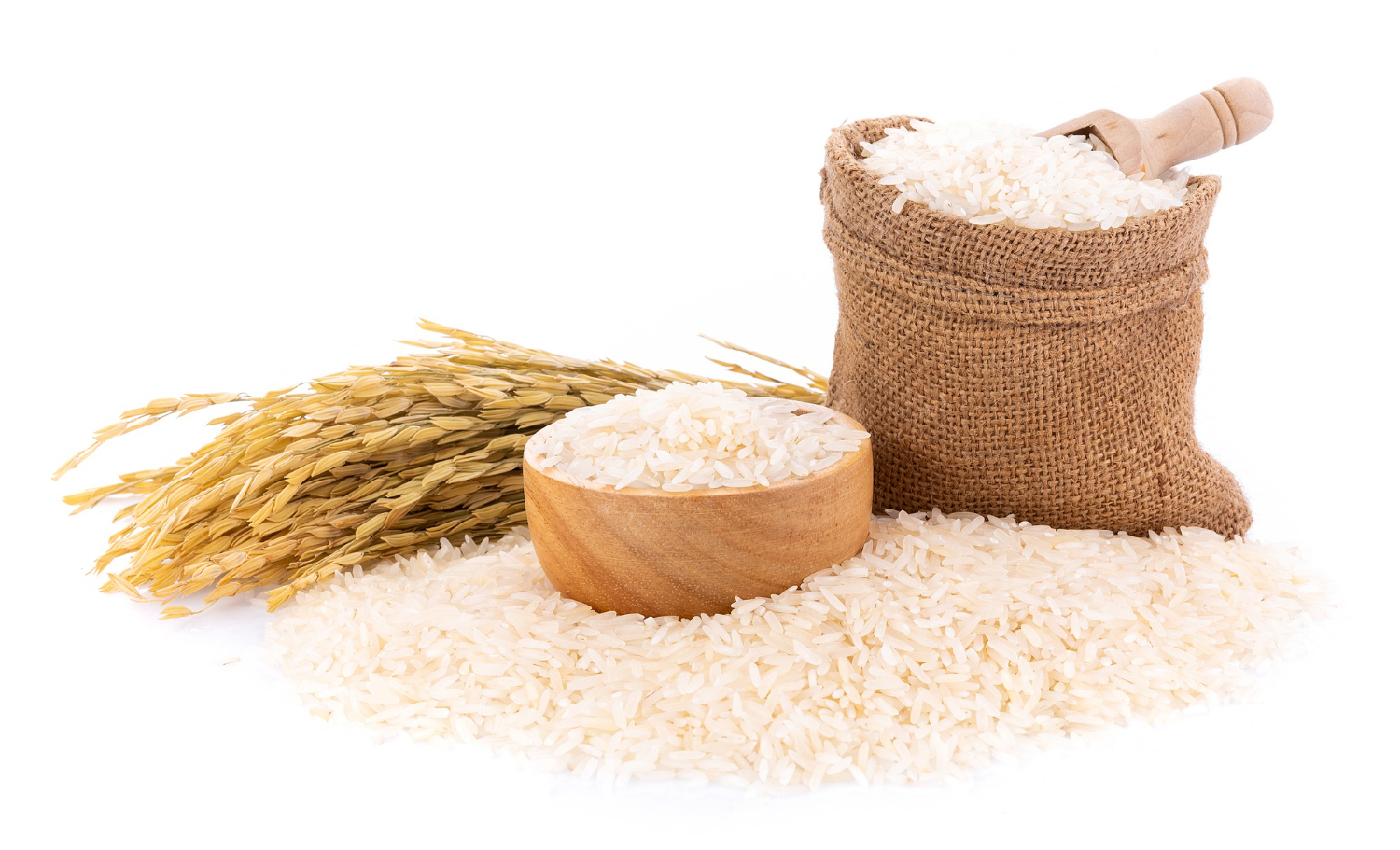 Rice