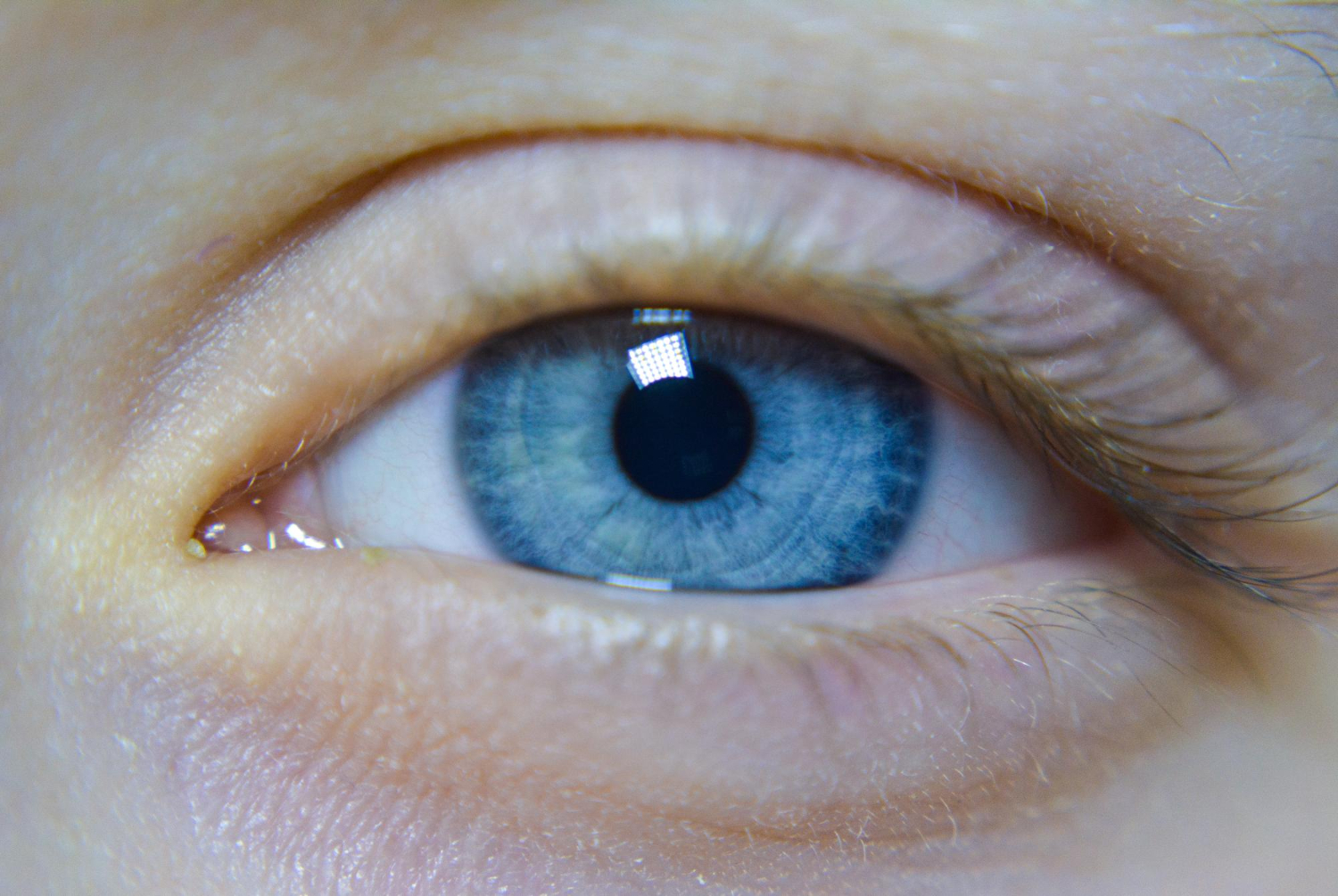 Human eye iris close up