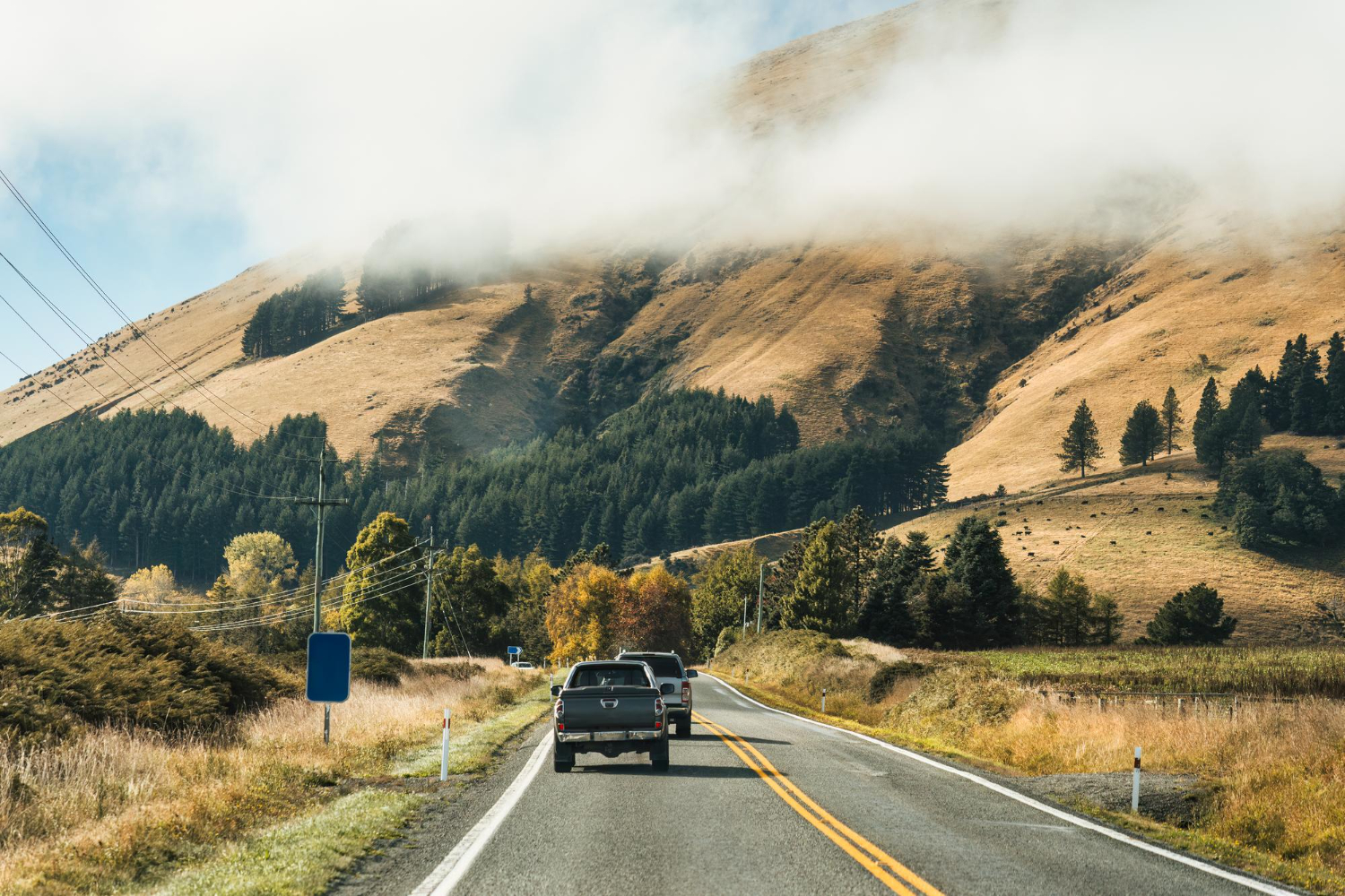 road trip highway