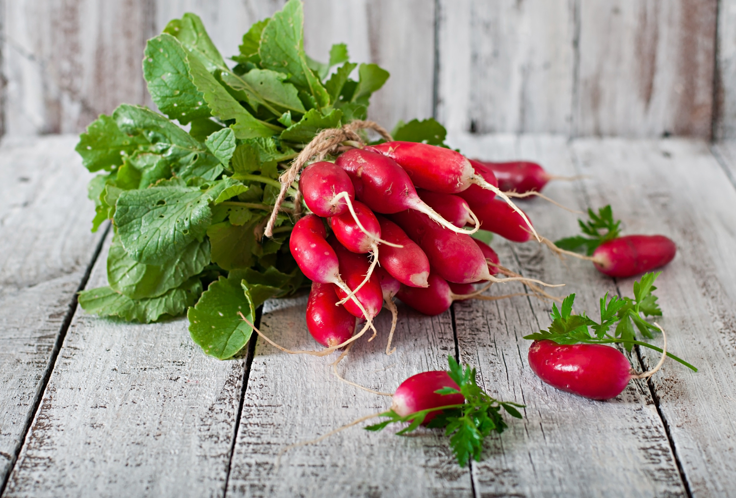 root vegetables