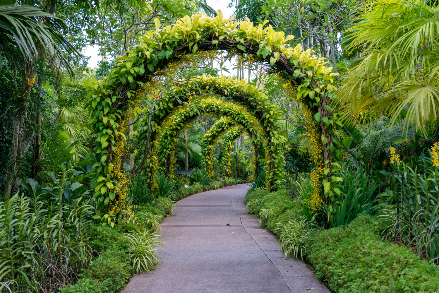 formal garden