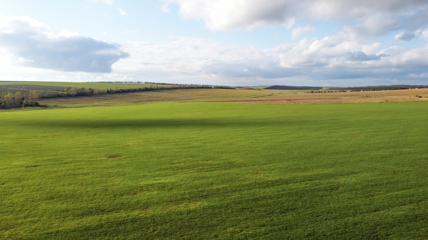 grassland