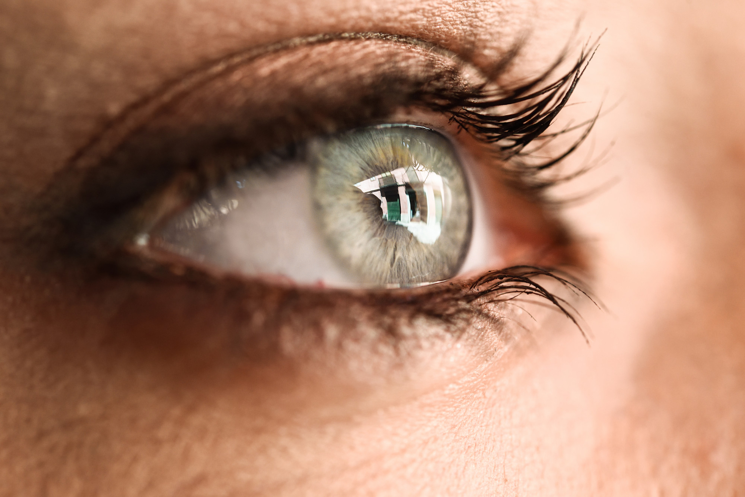 eye close up