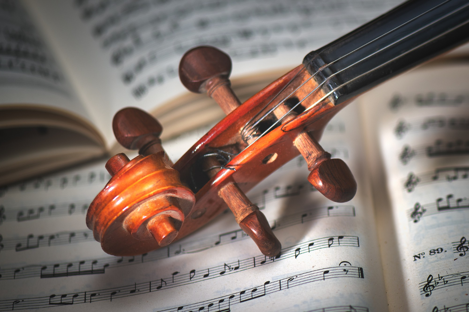 violin