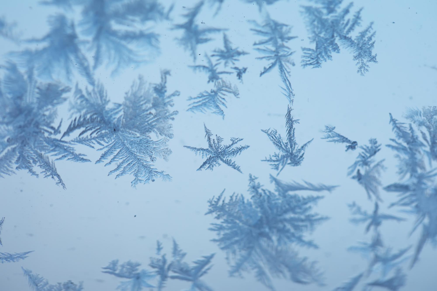 ice crystals