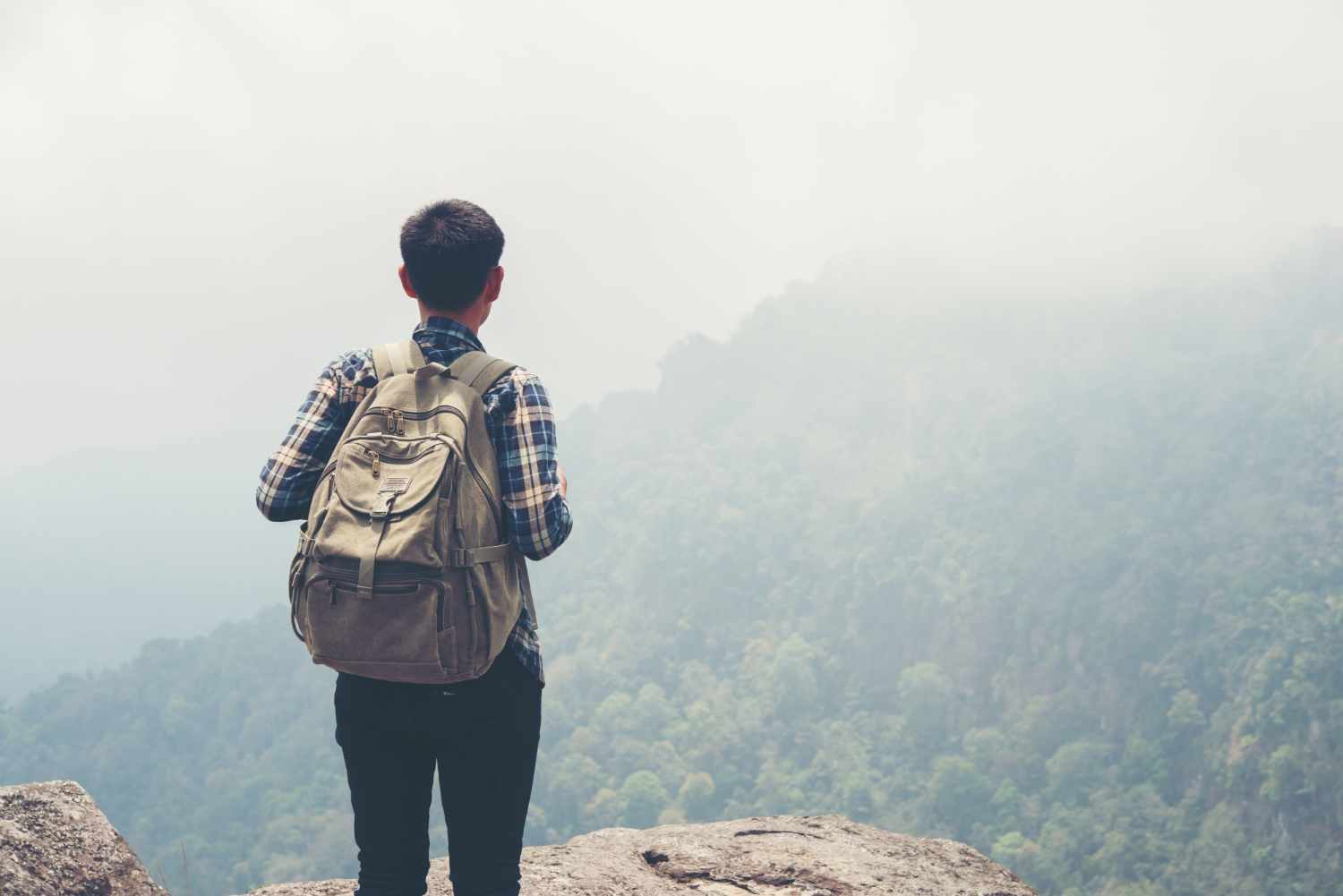 Traveler