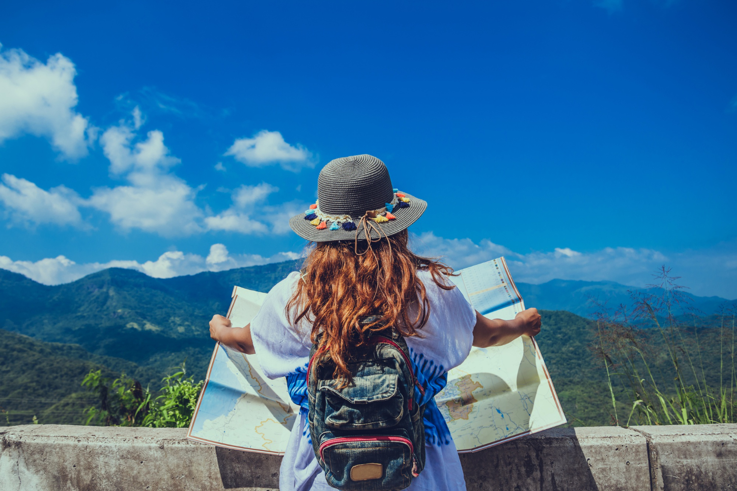 Traveler