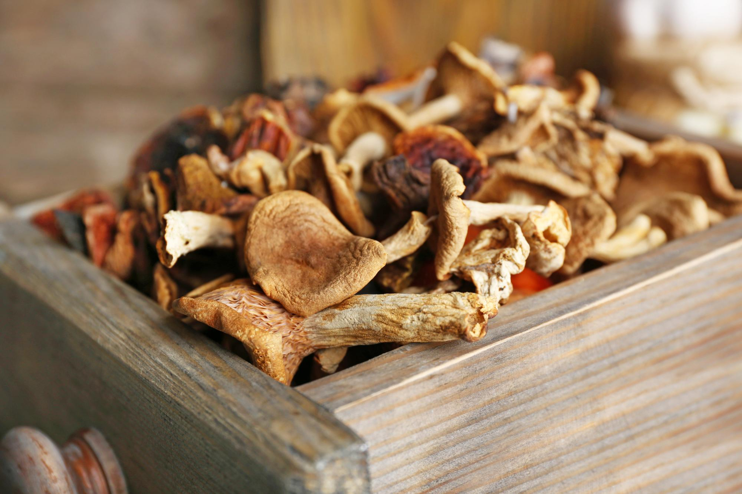 mushrooms