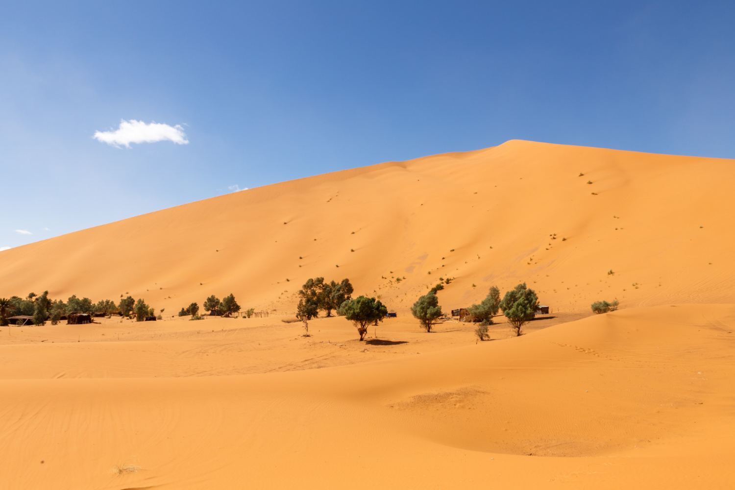 Sahara desert