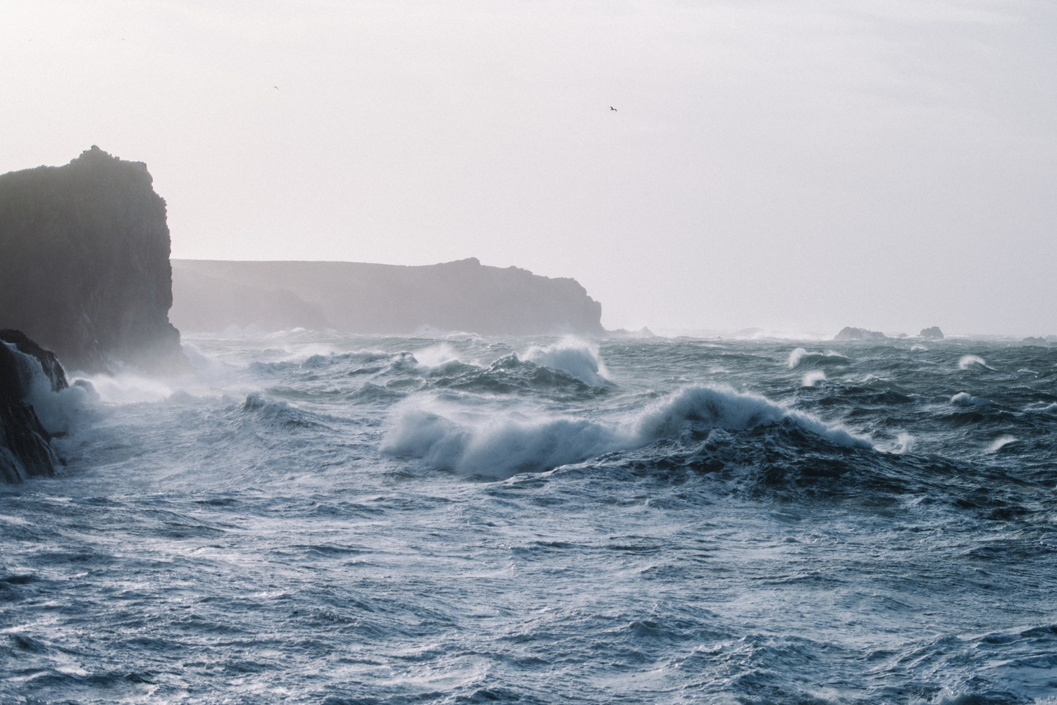 tide