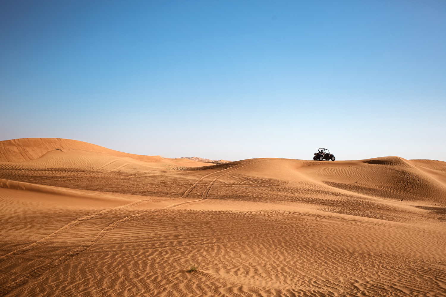desert