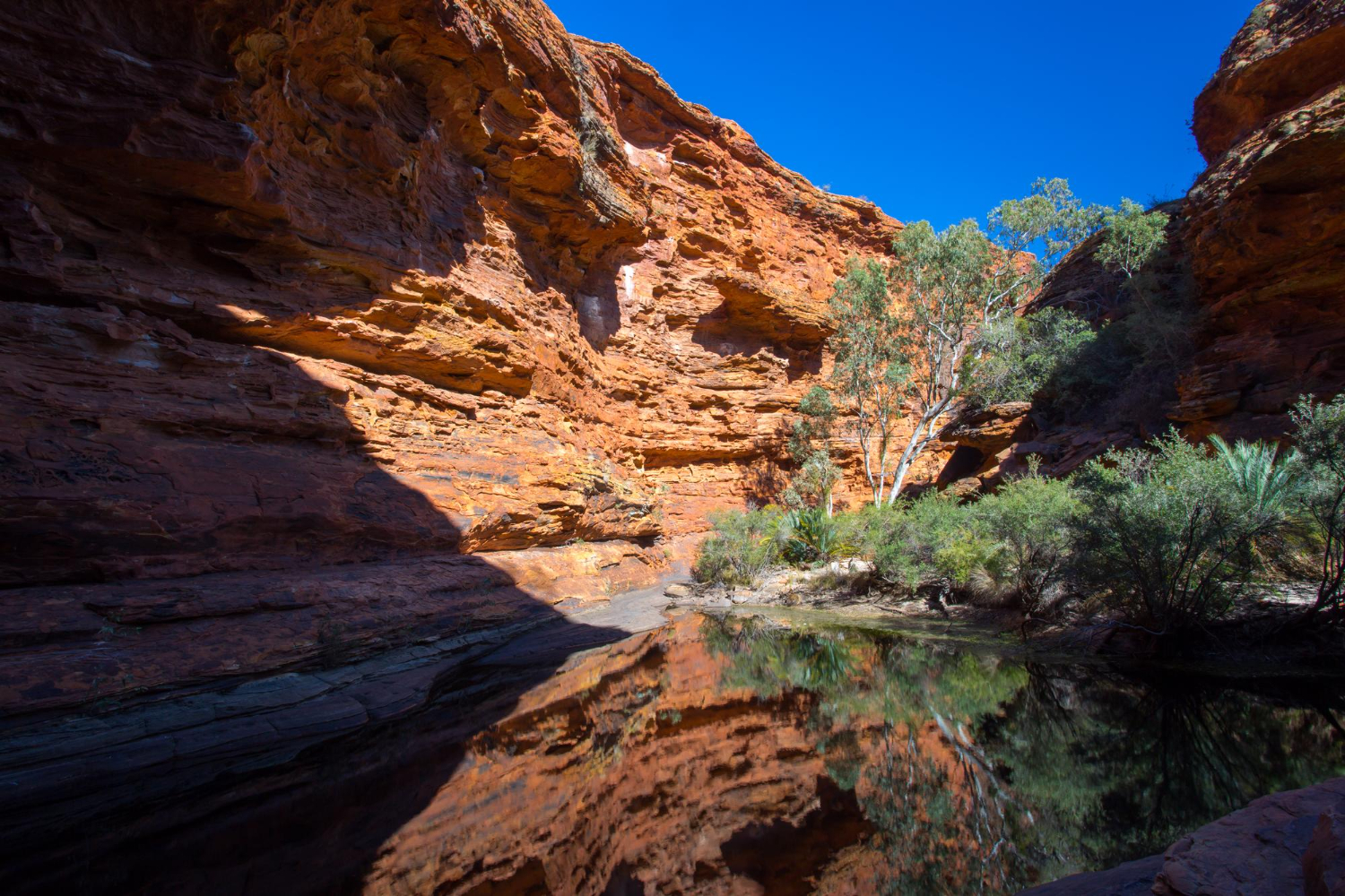 Kings Canyon
