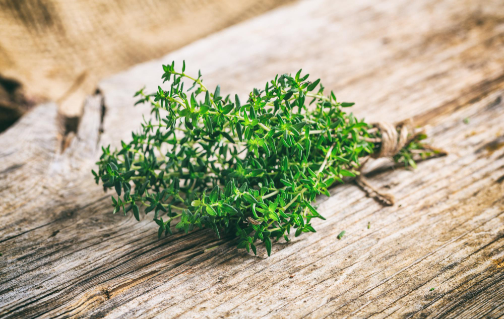 Thyme