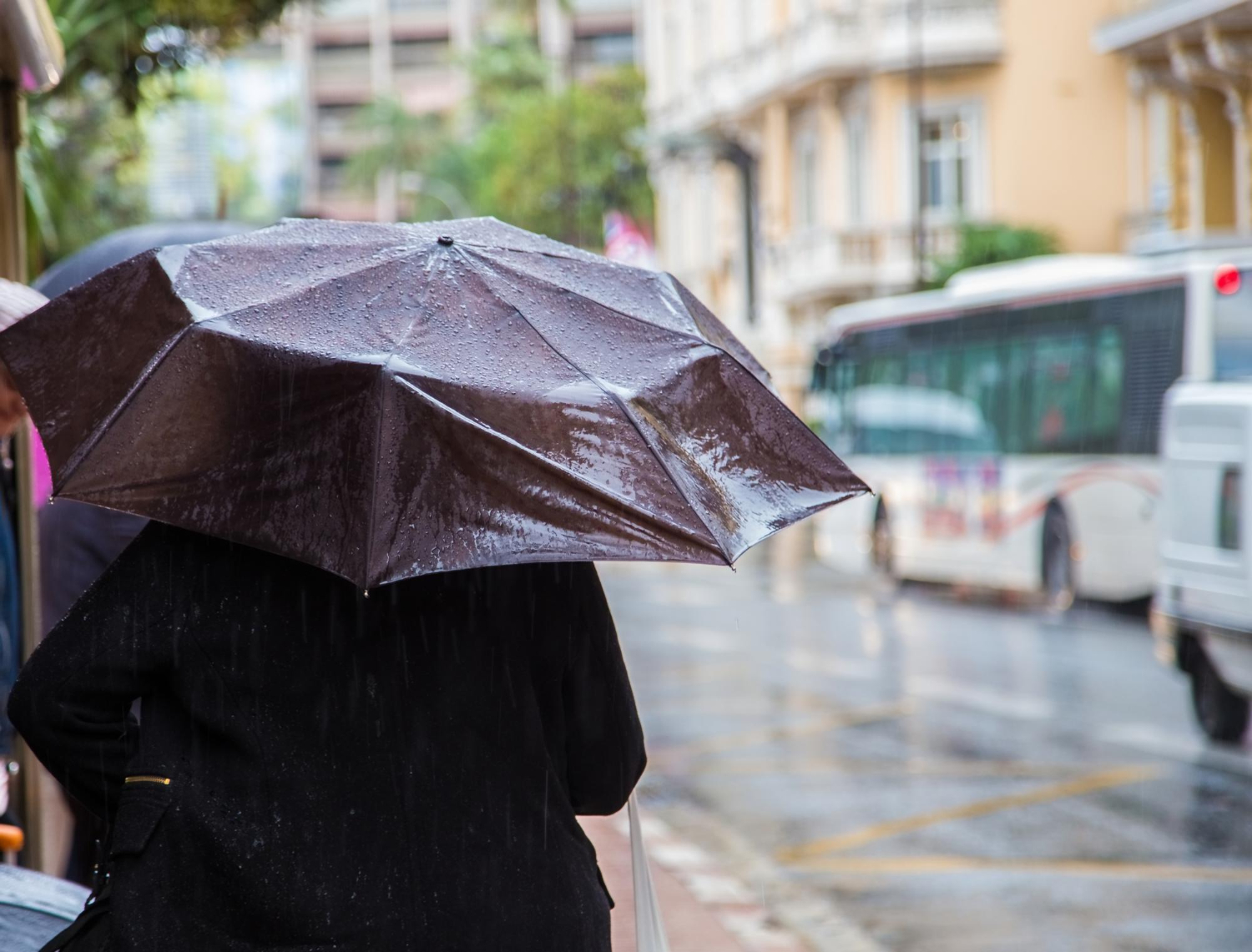 rainy street city umbrella