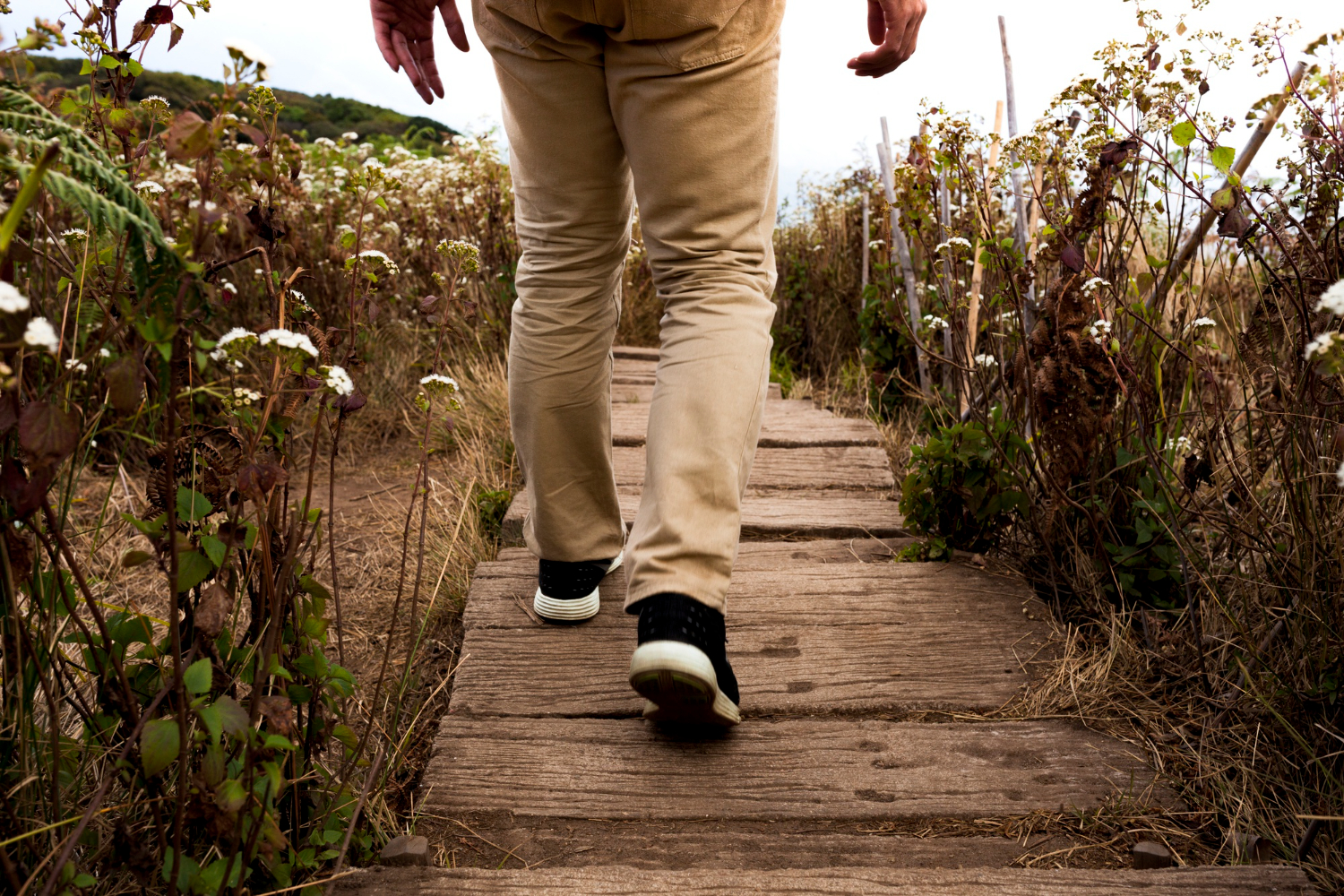 Walk