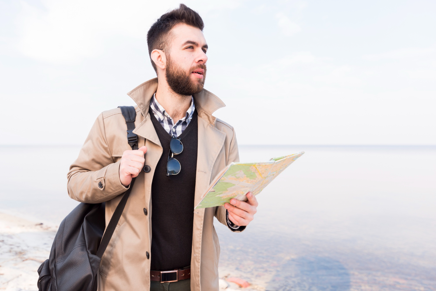 Traveler