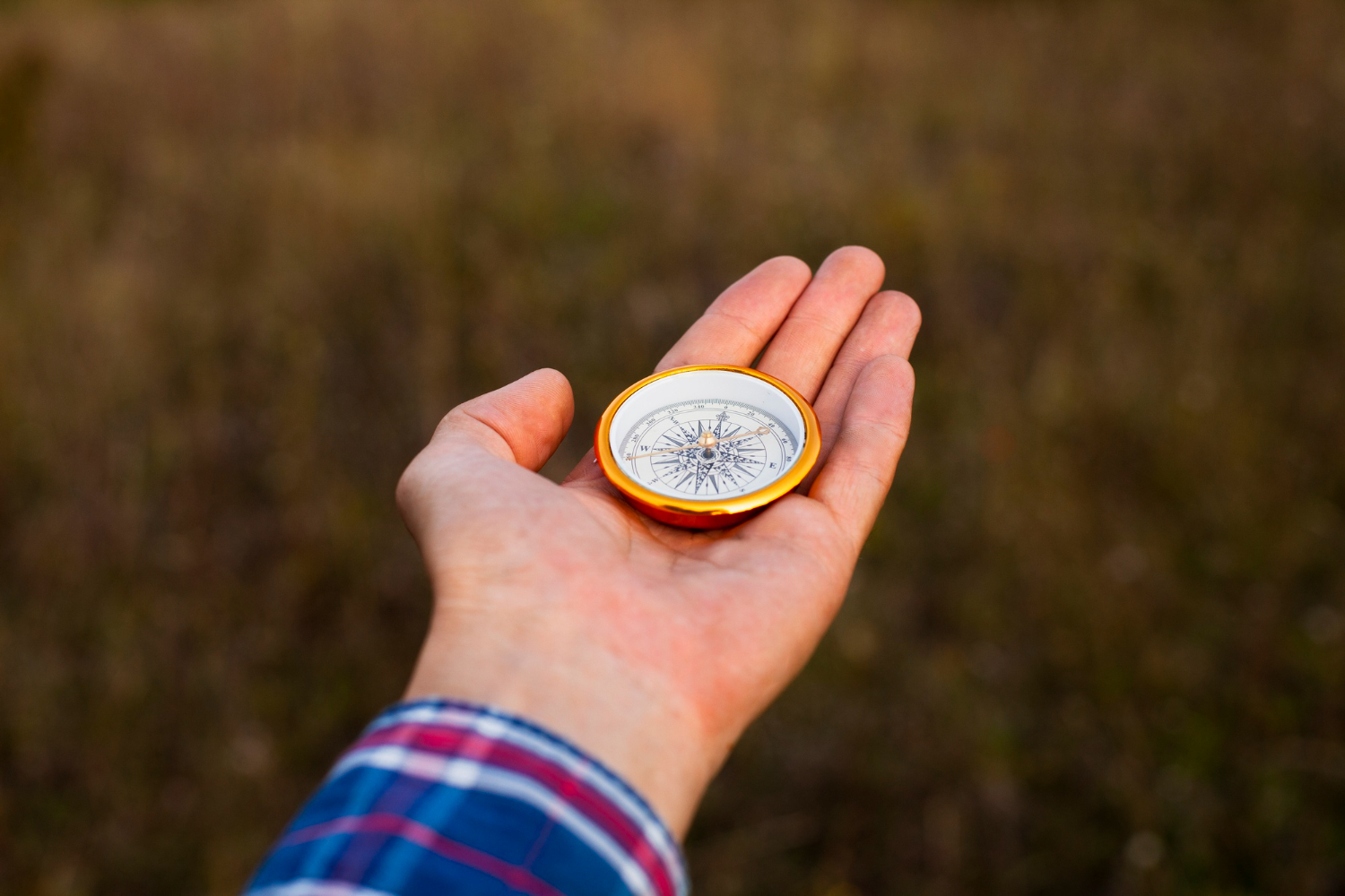 compass needle