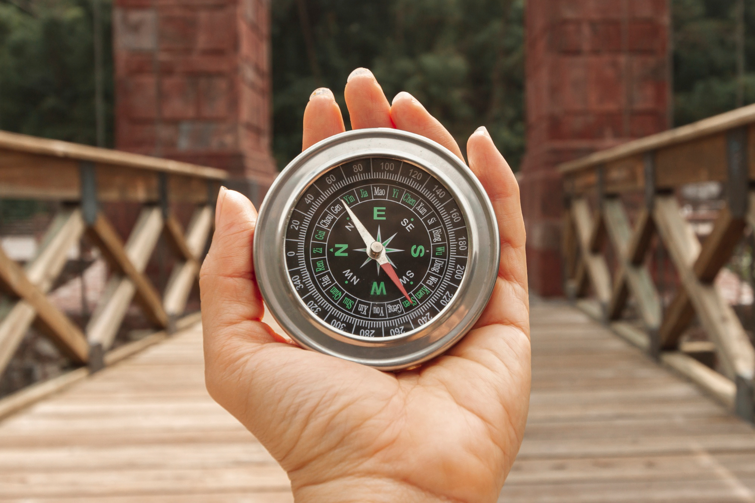 compass needle