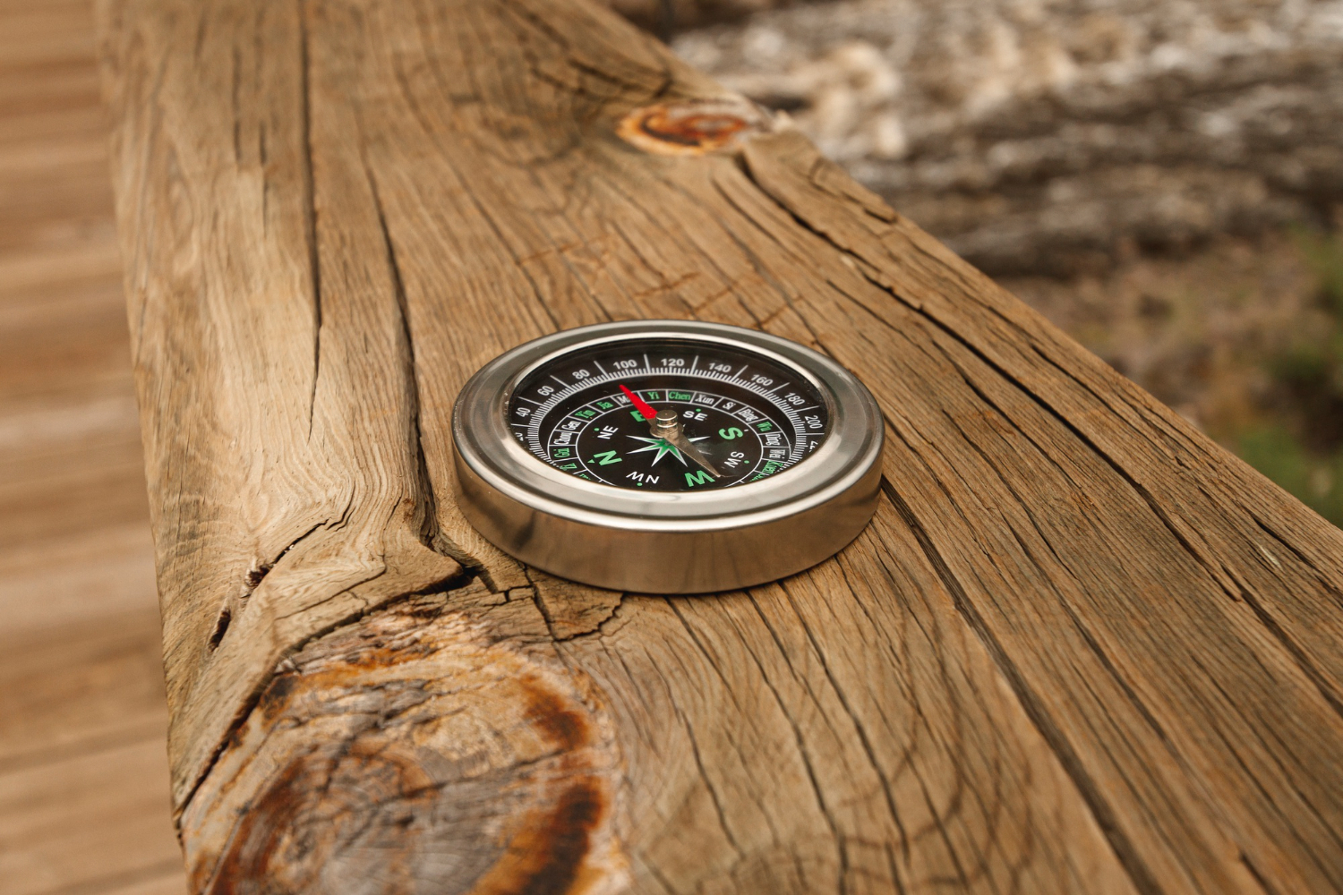 compass needle