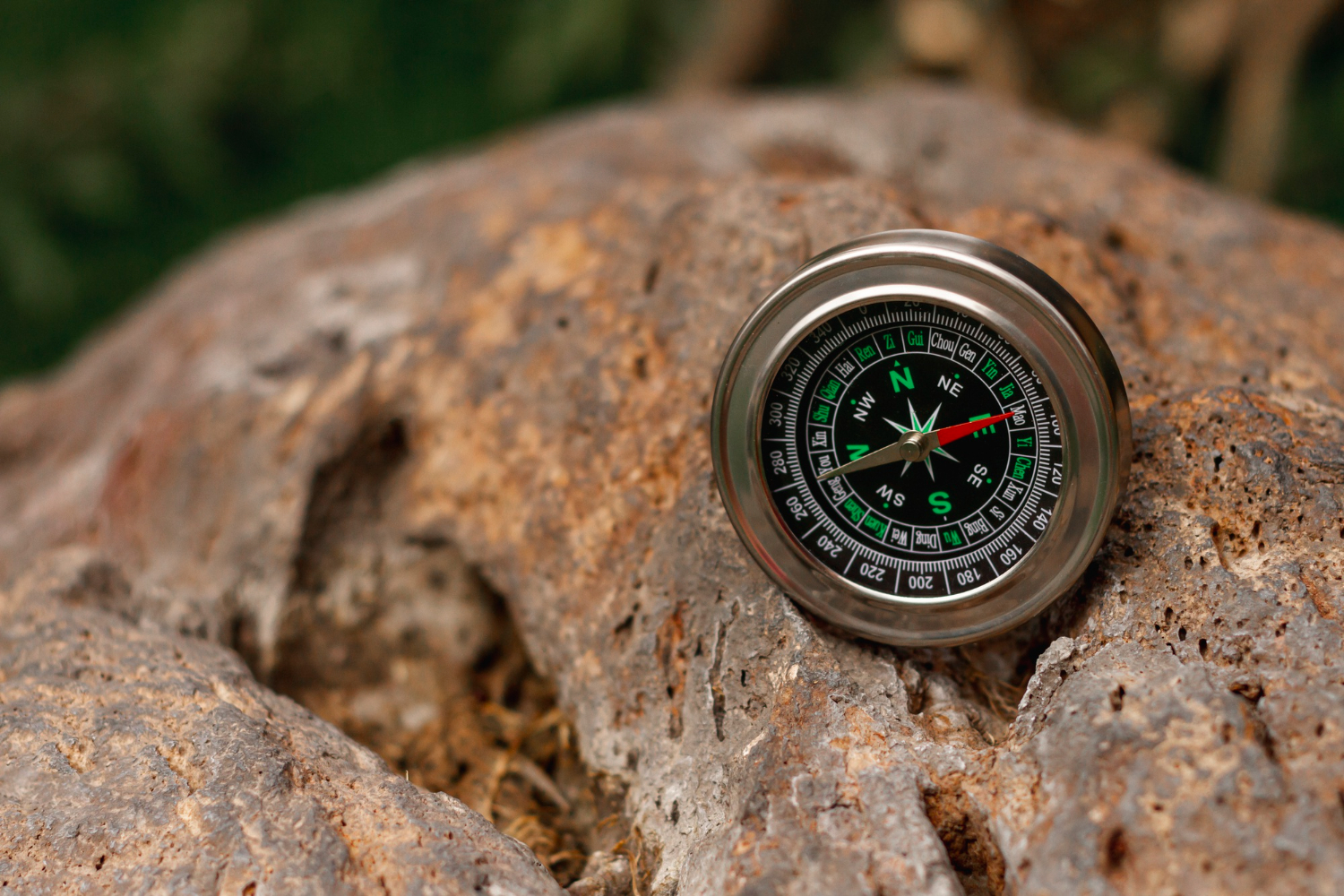 compass needle