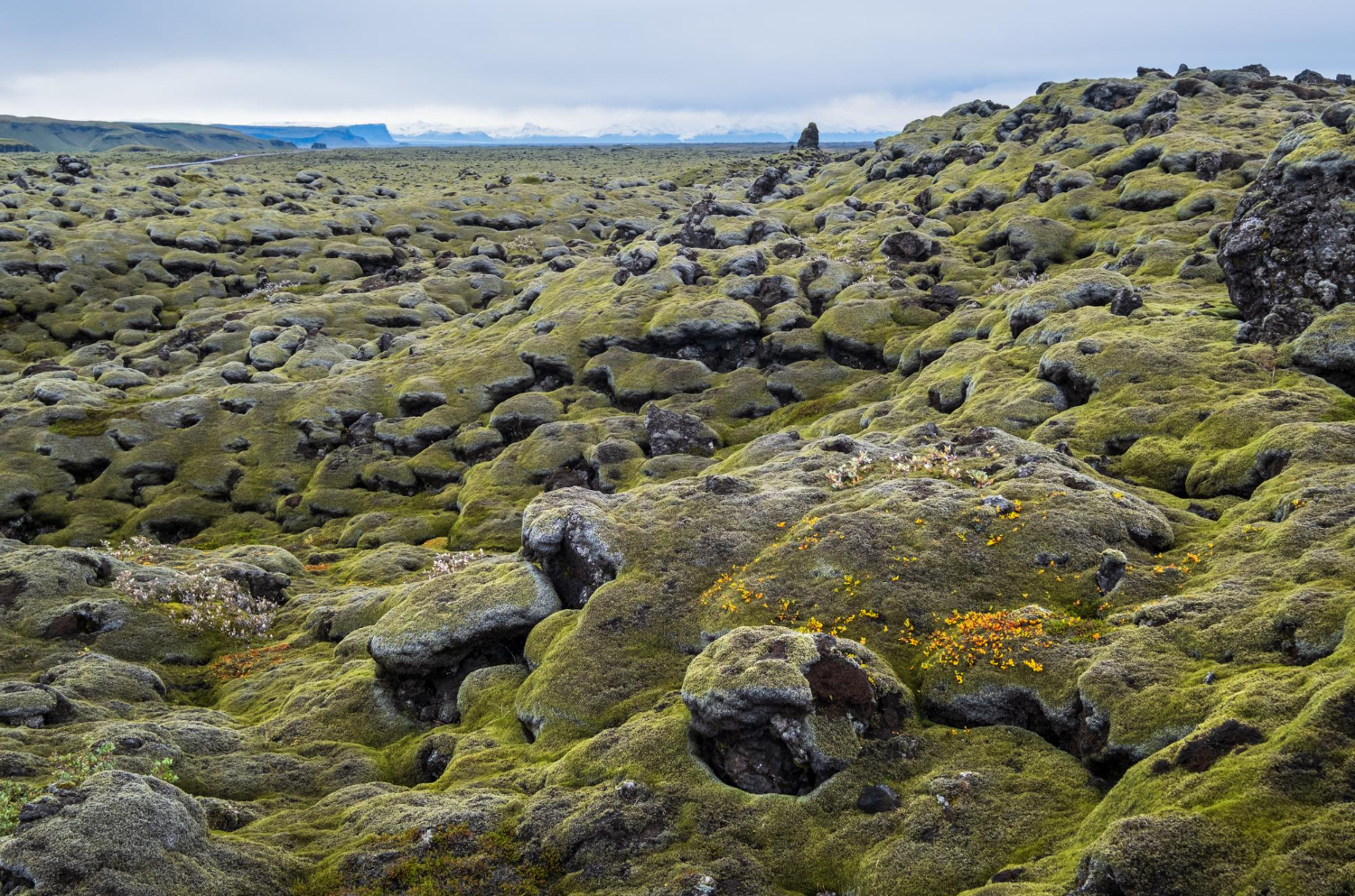Iceland landscape moss volcanic